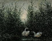 Caspar David Friedrich Schwane im Schilf USA oil painting artist